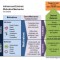 Newsgames - Intrinsic and Extrinsic Motivation Newsgames - Intrinsic and Extrinsic Motivation