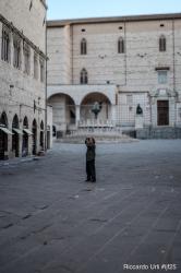 #ijf 